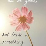 51bdf4a555d8764235b6f37ea5bad7fa